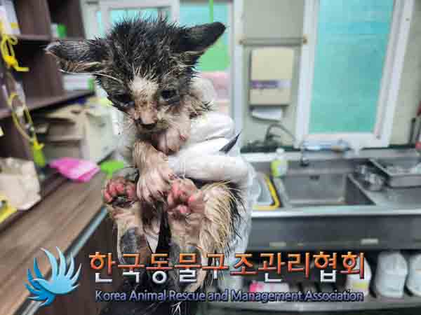 한국동물구조관리협회_411311202400895